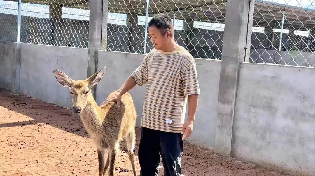 凤凰平台手机开户